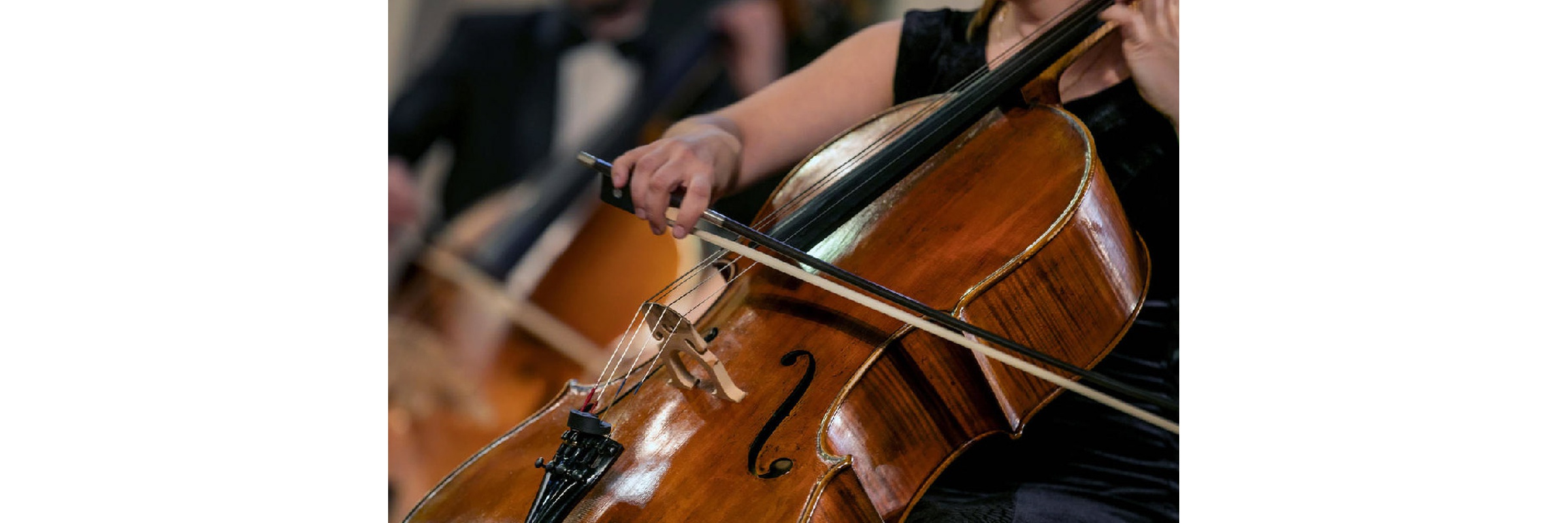 Musical Association Domenico Savino - Cello Masterclass 